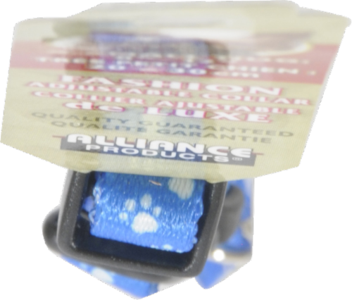Alliance Blue Paw Print Extra Small Dog Collar Perspective: top