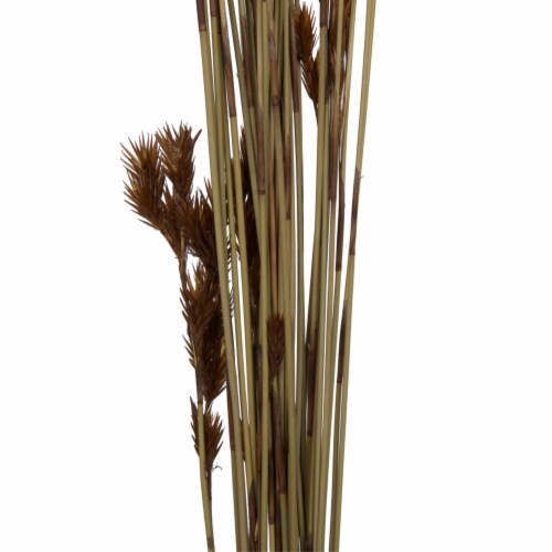 Vickerman H1THR000 33 x 5 in. 3.5 oz Thatch Bunch Reed, Natural Perspective: top