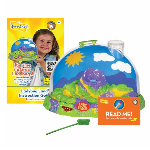 Insect Lore Ladybug Land Growing Kit Perspective: top