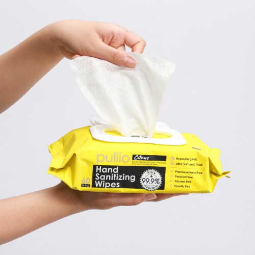 pullio - 5 Packs of Hand Sanitizer Citrus Wet Wipes 60ct -Antibacterial Hand  Wipes Perspective: top