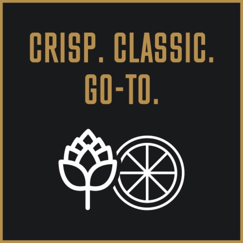 Goose Island Flight Pack Variety Pack Perspective: top