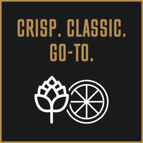Goose Island Flight Pack Variety Pack Perspective: top