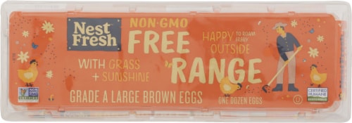 Nest Fresh™ Free Range Non-GMO Large Brown Eggs Perspective: top