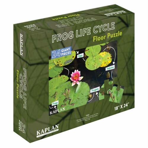 frog cycle 24