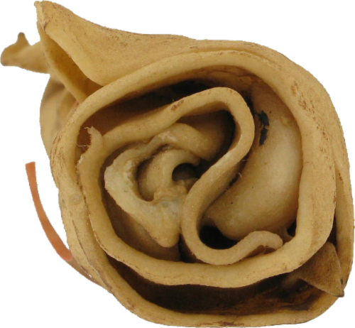 Bravo Peanut Butter Rawhide Roll Perspective: top