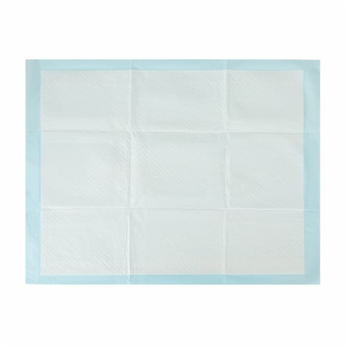 Arm & Hammer Stay at Home Training Dog Pads Perspective: top