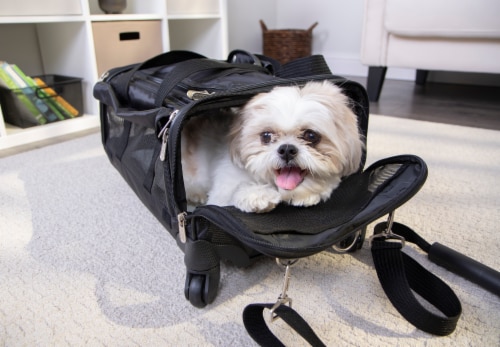 Large pet carrier clearance airline approved