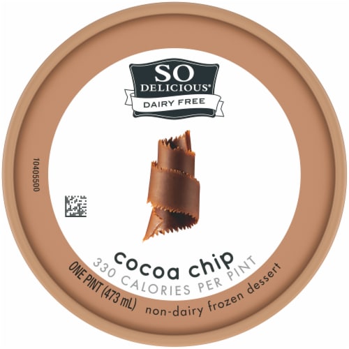 SO Delicious® Dairy Free Cocoa Chip Frozen Dessert Pint Perspective: top