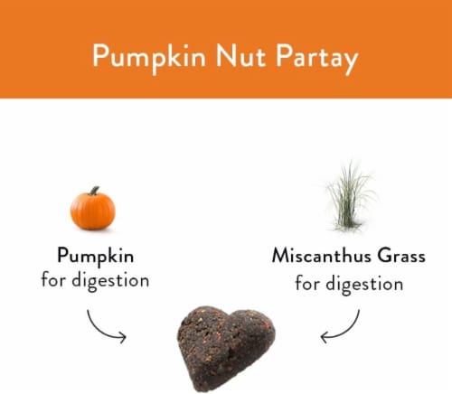 Natural, Grain-Free Dog Biscuits | Made w/Upcycled Ingredients in USA | Pumpkin Nut Partay Perspective: top