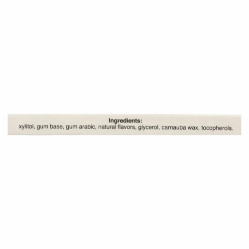 Pur Gum Gum - Chocolate Mint - Case of 12 - 9 count Perspective: top