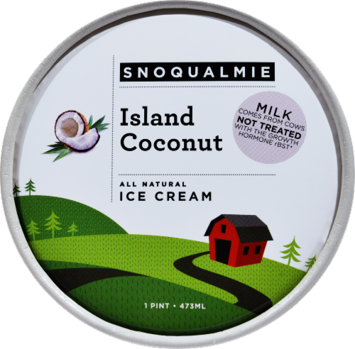 Snoqualmie Island Coconut Ice Cream Pint Perspective: top