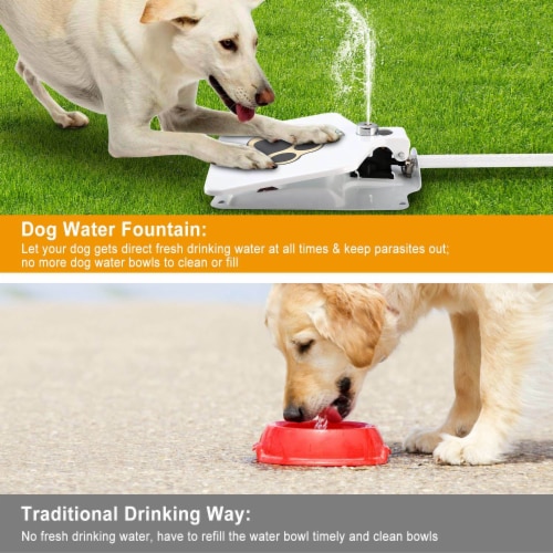 White Outdoor Dog Water Fountain Edge Step On Activated Sprinkler For Pet Water Dispensing 1 Set Kroger