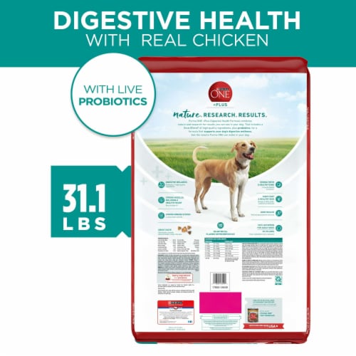 Purina One Digestive Health Formula Dry Dog Food 31.1 Lb Bag 1 Pack Foods Co