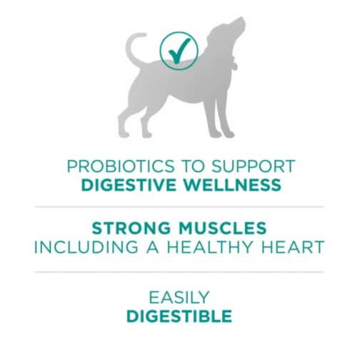 Purina one digestive health dog food discount