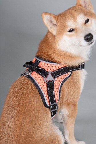 Dog Helios - 'Scorpion' Sporty High-Performance Free-Range Dog Harness Perspective: top