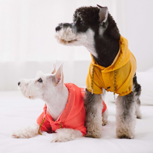 Designer dog raincoat deals
