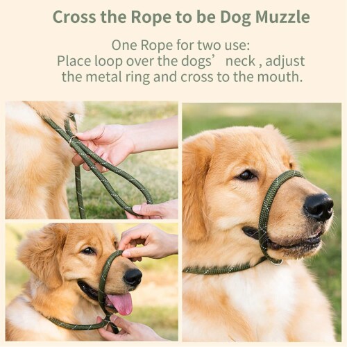 Slip leash for small dogs hotsell