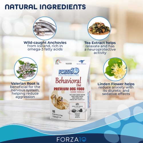 Forza10 - Active Behavioral Support For Dogs Perspective: top