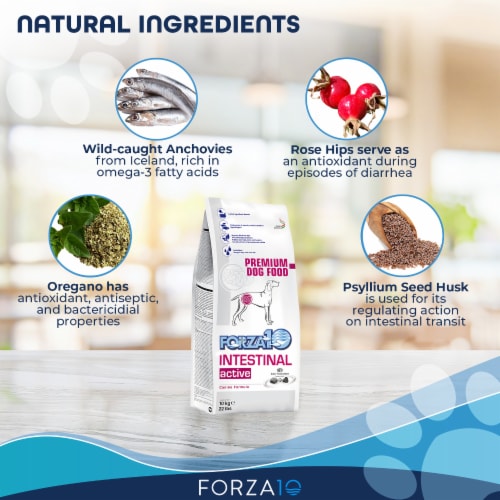 Forza10 - Active Intestinal Support For Dogs Perspective: top
