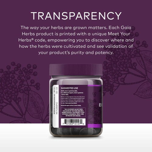 Gaia Herbs® Black Elderberry Adult Daily Immune Support Gummies Perspective: top