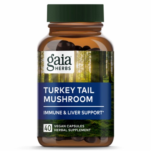 Gaia Herb Turkey Tail Muchroom Immune and Liver Support Perspective: top