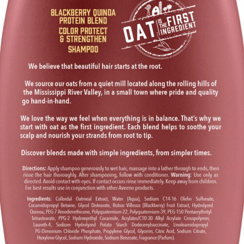 4th Ave Market: Aveeno Scalp Soothing Blackberry Quinoa Protein Blend Shampoo (Pack of 6) Perspective: top