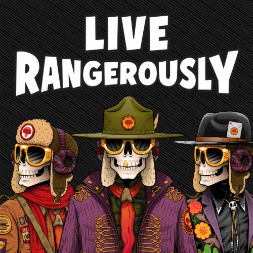 New Belgium Voodoo Ranger Hardcharged Tea Variety Pack I Hard Tea Perspective: top
