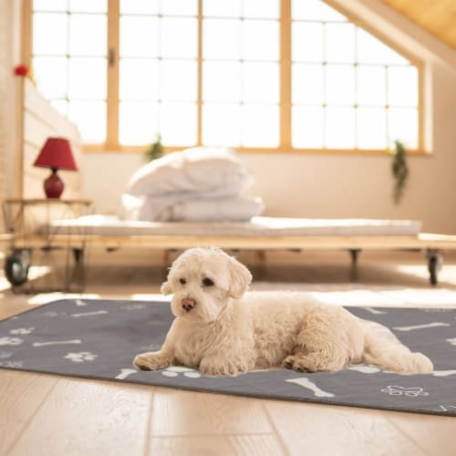 2Pcs Washable Pet Pee Pads For Puppy Kittens Dogs Cats Reusable Potty Mats Machine Washable M Fred Meyer