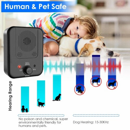 Anti barking device canada online