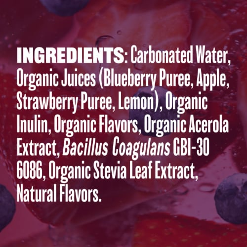 Evolution Fresh® Berry Burst Organic Real Fruit Soda Perspective: top