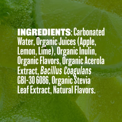 Evolution Fresh® Lemon Lime Organic Real Fruit Soda Perspective: top