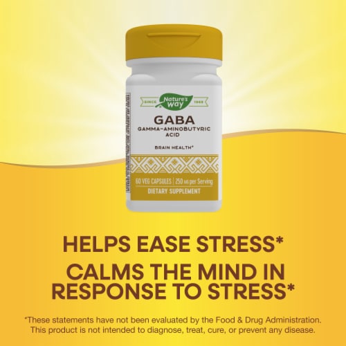 Nature's Way GABA Gamma-Aminobutyric Acid Capsules Perspective: top