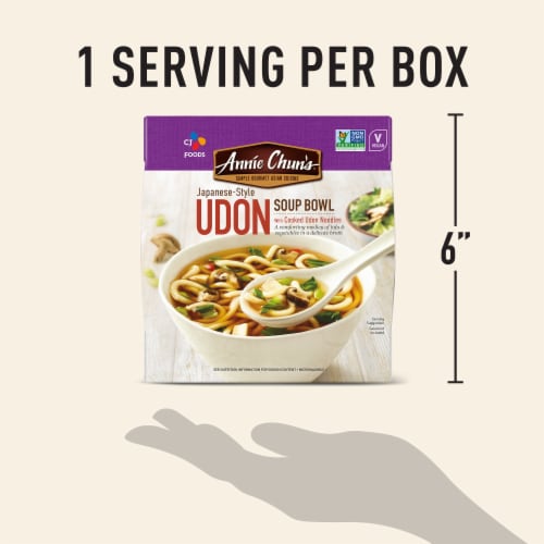 Annie Chun's Japanese Style Udon Soup Bowl Perspective: top