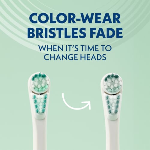 Spinbrush Pro Whiten Medium Bristles Coral Battery Powered Electric Toothbrush Perspective: top