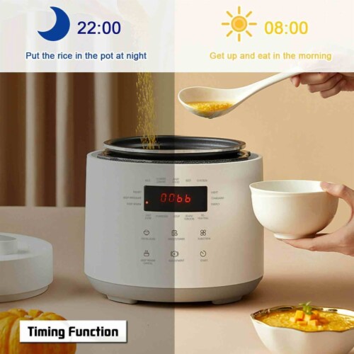 2.5L 600W Electric Pressure Cooker Mini Fast Cooker With Stainless