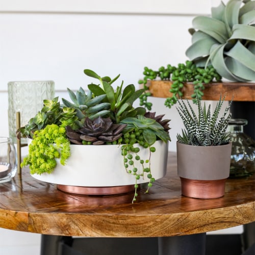 The HC Companies Vanilla Bisque Capri Bowl Planter Perspective: top