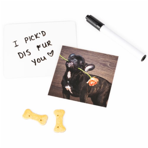 The Dog Game, Hilarious Family Game with Doggos, for Ages 8 and Up Perspective: top