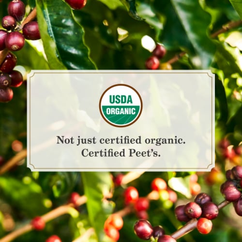 Peet's® Alma De La Tierra Dark Roast Single Serve Coffee Pods Perspective: top