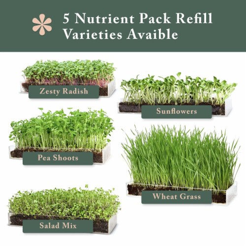 Window Garden Microgreens Refill (3 Pack) - Growing Kit w/ Seeds, Soil, Superfood Greens Perspective: top