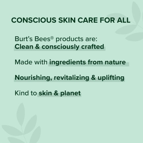 Burt's Bees Moisturizing Flushed Blush Lip Gloss Perspective: top