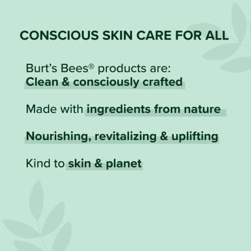 Burt's Bees Moisturizing Sweet Sunset Lip Gloss Perspective: top
