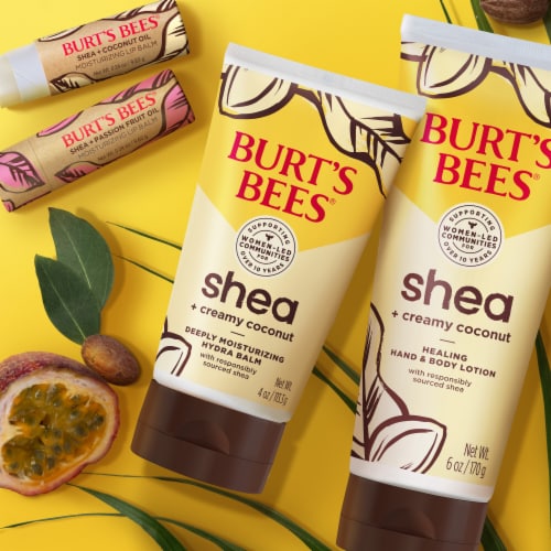 Burts Bees Shea + Coconut Oil Moisturizing Lip Balm Perspective: top