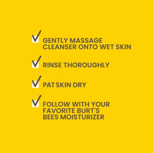 Burt's Bees Fermented Honey Gel Cleanser Perspective: top