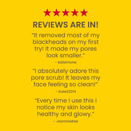 Burt's Bees Peach and Willow Bark Deep Cleansing Pore Scrub Perspective: top