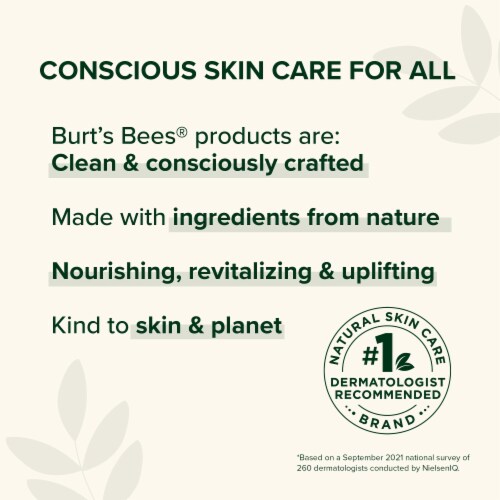 Burt's Bees Refreshing Cucumber and Mint Foaming Face Cleanser Perspective: top