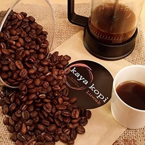 Premium Kaya Kopi Luwak Indonesia Wild Palm Civets Arabica Light Roast Coffee Beans 50 grams Perspective: top