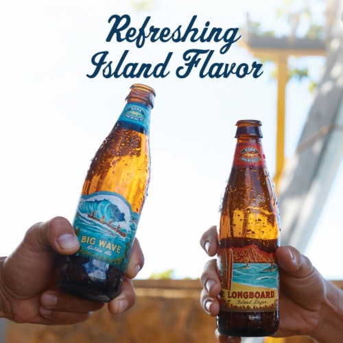 Kona Brewing Co. Island Hopper Beer Variety Pack Perspective: top