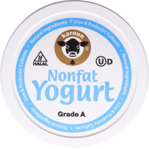 Karoun® Dairies Nonfat Yogurt Perspective: top