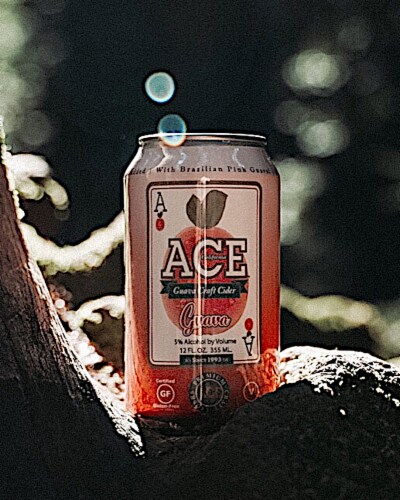 Ace Guava Craft Cider Perspective: top