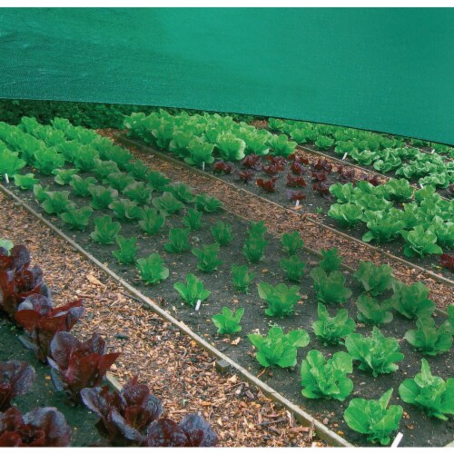 Coolaroo 6 Ft. W. x 15 Ft. L. Rainforest Green 30% UV Sun Screen Fabric 457952 Perspective: top